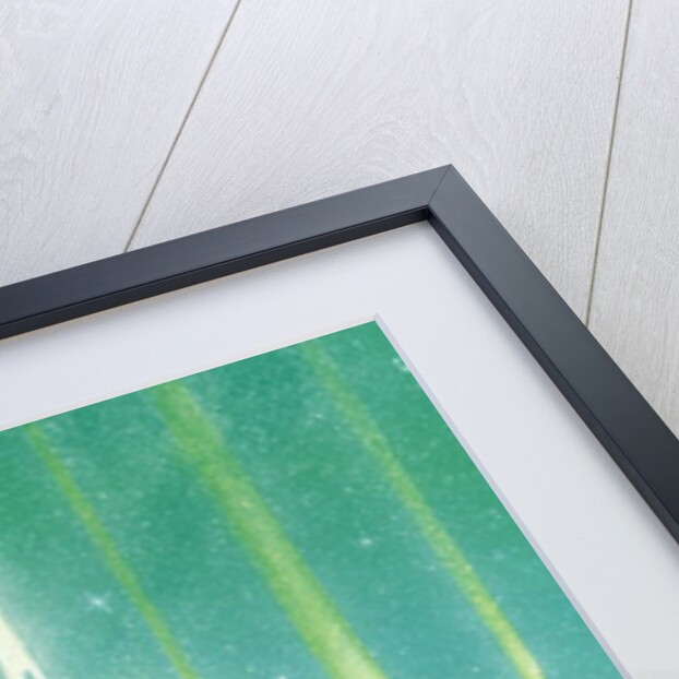 Internal Pathways by Simon Cook