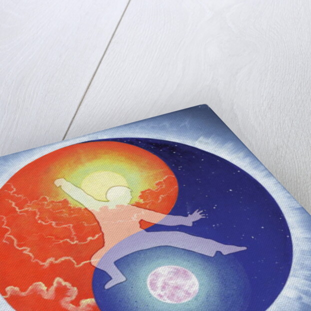 Yin Yang by Simon Cook