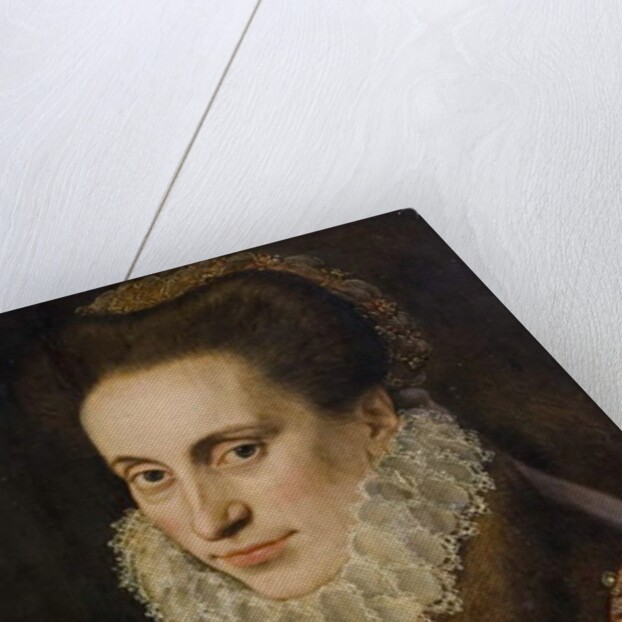 Portrait of a Woman, 'Fair Geraldine', wife of Edward Clinton), 1573 by Lucas de Heere