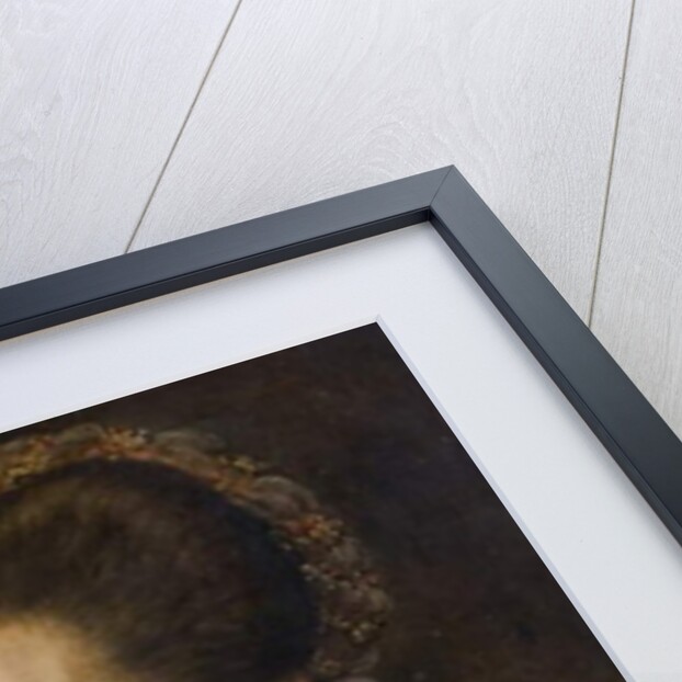 Portrait of a Woman, 'Fair Geraldine', wife of Edward Clinton), 1573 by Lucas de Heere