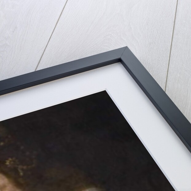 Elizabeth I, 1629 by William Rogers