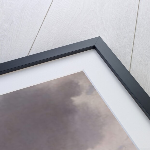 Lammas Day, Coventry, 1849 by David Gee