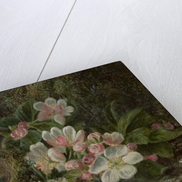 Bird's Nest with Apple and Hawthorn Blossom, 1893 by Oliver Clare