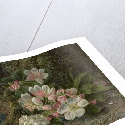 Bird's Nest with Apple and Hawthorn Blossom, 1893 by Oliver Clare