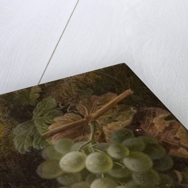 Bunch of Grapes, 1893 by Oliver Clare