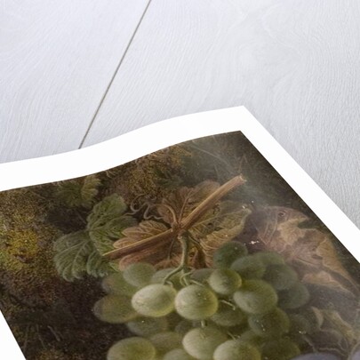 Bunch of Grapes, 1893 by Oliver Clare