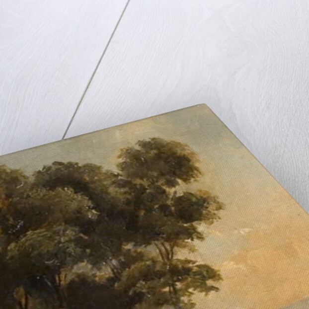 Study of a Tree, late 19th century by Walter Scott