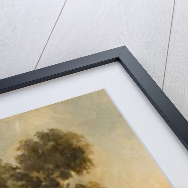 Study of a Tree, late 19th century by Walter Scott