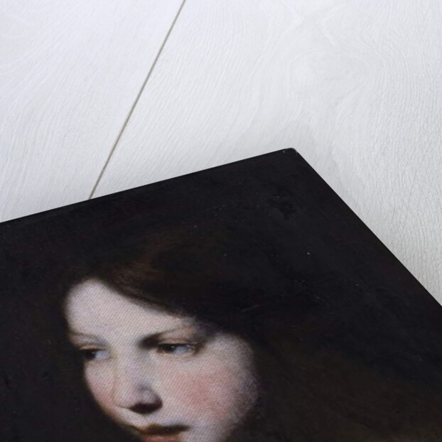 Head of a Girl, c.1640 by Francesco Furini