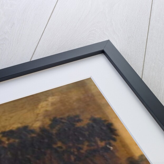 Tollgate, near Memorial Park, Coventry, 1855 by Thomas Hough