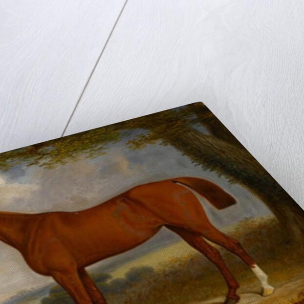 Chestnut Hunter in a Landscape, 1867 by Edwin Brown