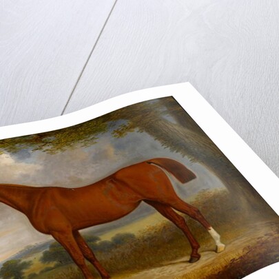 Chestnut Hunter in a Landscape, 1867 by Edwin Brown