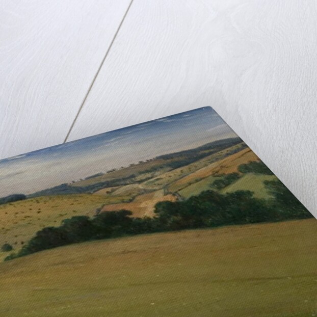 Summer in the Downs, 1946 by Christopher Richard Wynne Nevinson