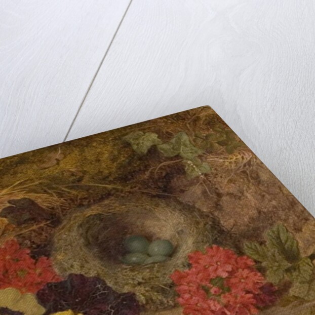 A Bird's Nest, Pansies and Verbena, late 19th century by Thomas Worsey