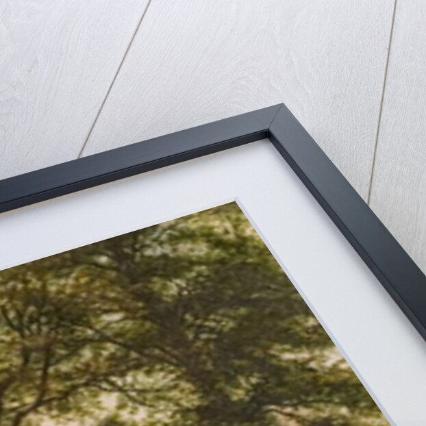 Distant View of Coventry, late 19th century by William Howard Reeve