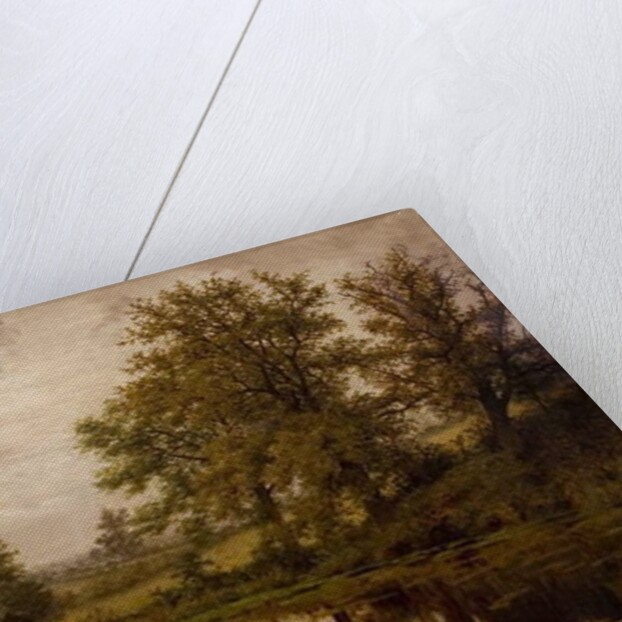 Pond near Whittem's Farm, near Coundon, late 19th-early 20th century by John Anderson