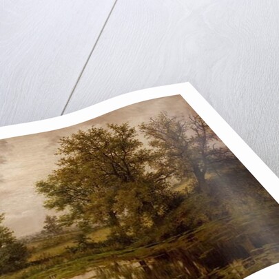 Pond near Whittem's Farm, near Coundon, late 19th-early 20th century by John Anderson