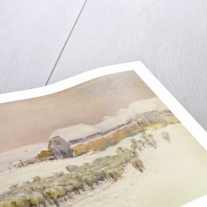 Bringing in the Flock, 1901 by Jessie Hall