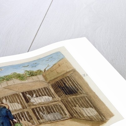 Feeding the Rabbits, 1883 by Rosa Petherick