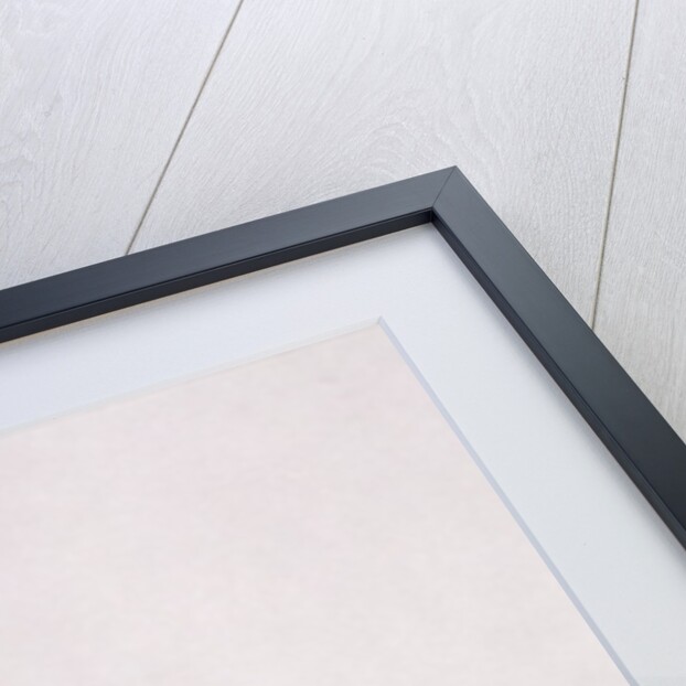 Crocus by Sarah Creswell