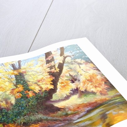 Autumn on the Darent, 1999 by Cristiana Angelini