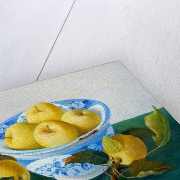 Apples in a Blue Bowl, 2014 by Cristiana Angelini