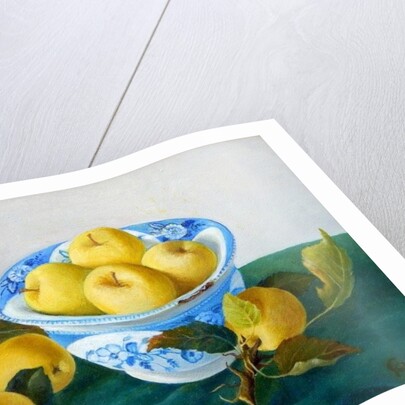 Apples in a Blue Bowl, 2014 by Cristiana Angelini