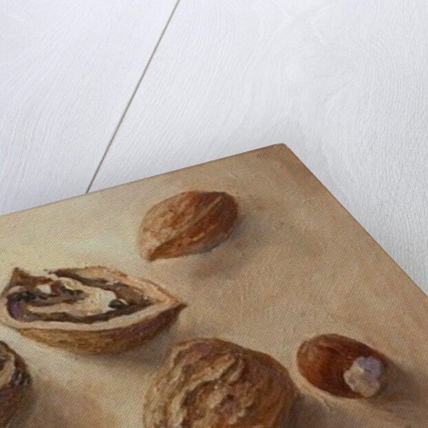 Walnuts and Hazelnuts, 2014 by Cristiana Angelini
