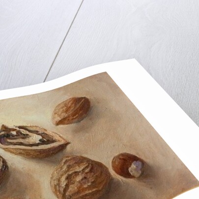 Walnuts and Hazelnuts, 2014 by Cristiana Angelini