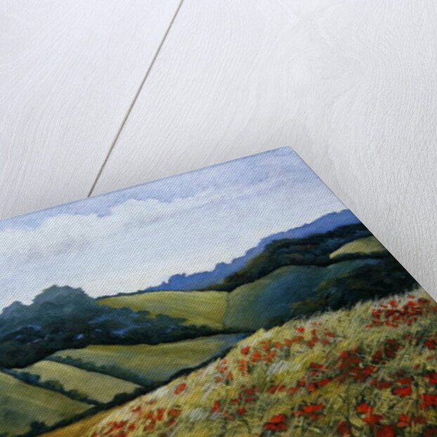 A Light Breeze by Cristiana Angelini