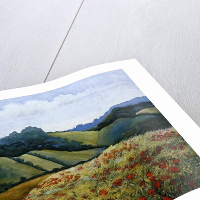 A Light Breeze by Cristiana Angelini