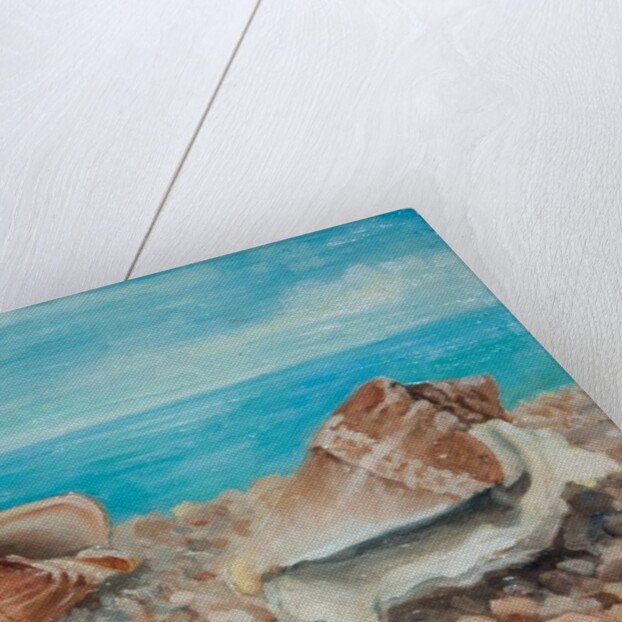 Three Shells by Cristiana Angelini