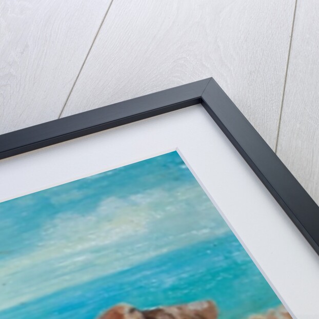 Three Shells by Cristiana Angelini