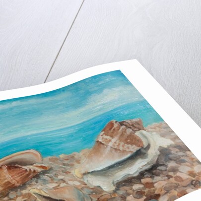 Three Shells by Cristiana Angelini