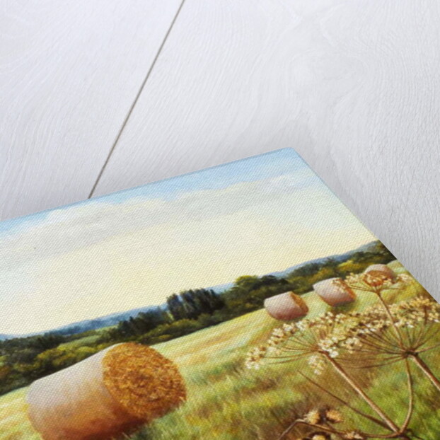 Eynsford Valley by Cristiana Angelini