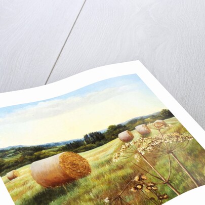 Eynsford Valley by Cristiana Angelini