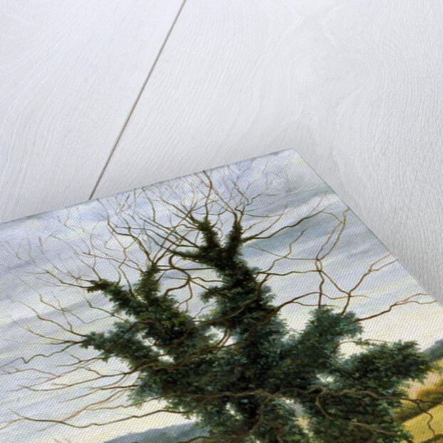 Winter Sky by Cristiana Angelini