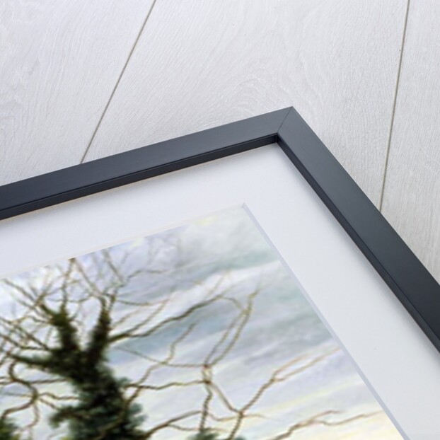 Winter Sky by Cristiana Angelini