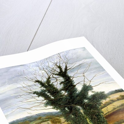 Winter Sky by Cristiana Angelini