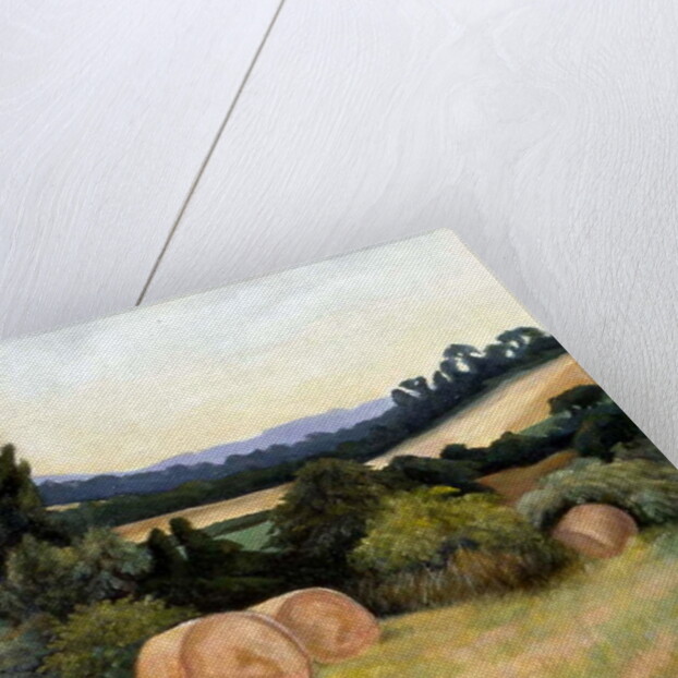 Eynsford Valley by Cristiana Angelini