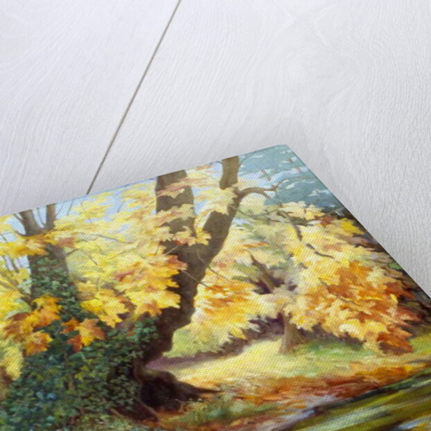 Autumn on the Darenth by Cristiana Angelini