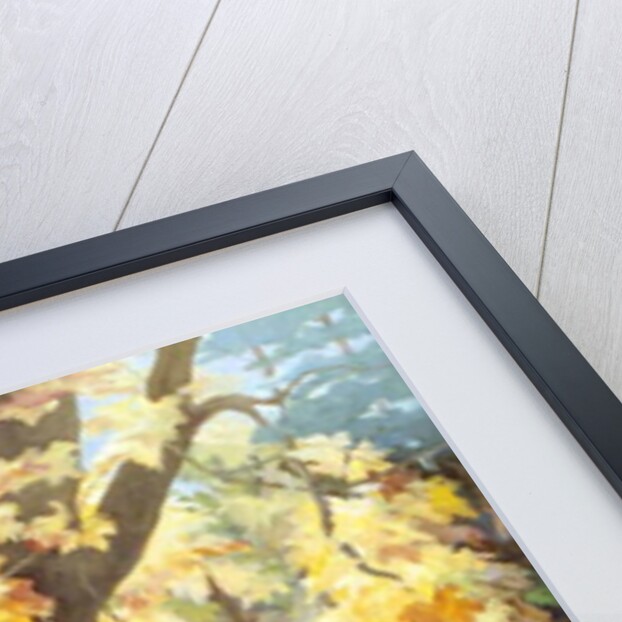 Autumn on the Darenth by Cristiana Angelini