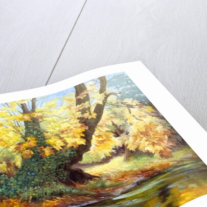 Autumn on the Darenth by Cristiana Angelini