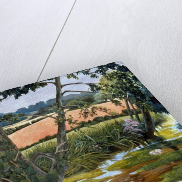 Summer amongst the reeds by Cristiana Angelini