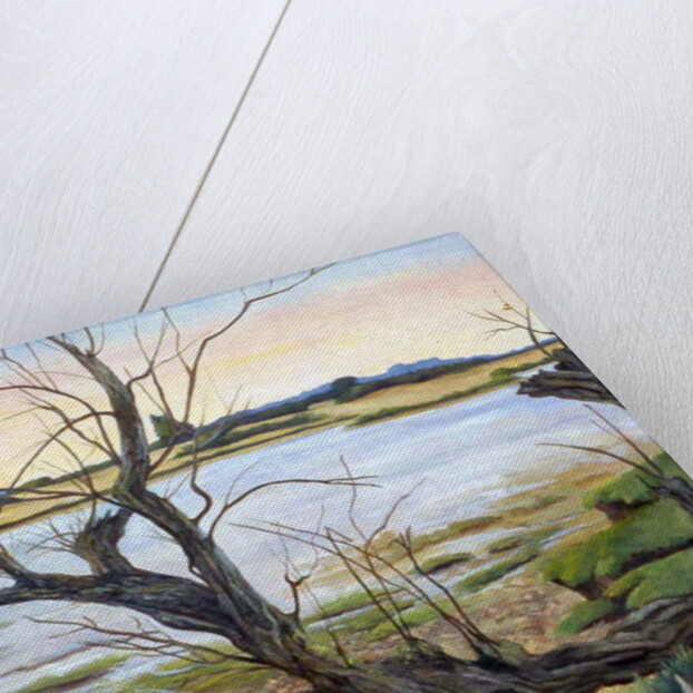 The River Colne by Cristiana Angelini