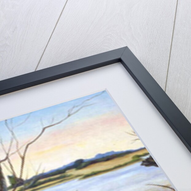 The River Colne by Cristiana Angelini