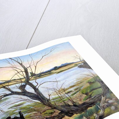 The River Colne by Cristiana Angelini