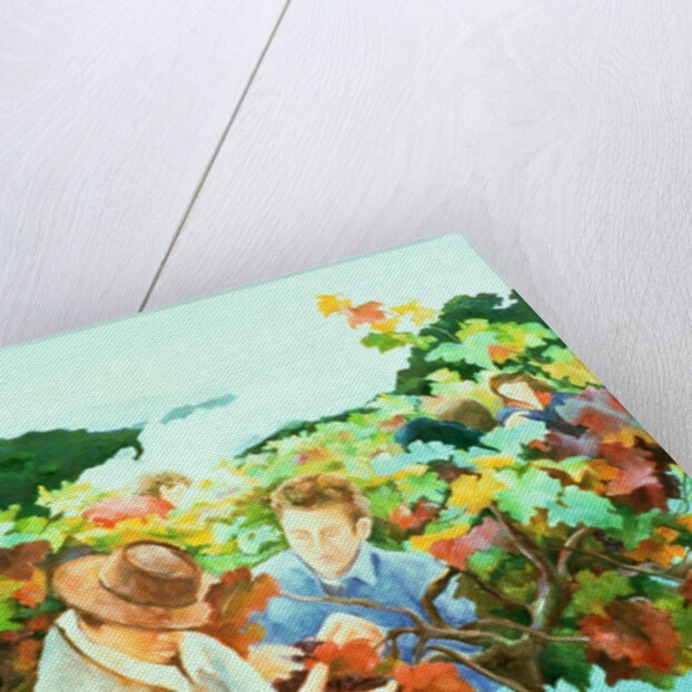 Grape Pickers, 1996 by Cristiana Angelini