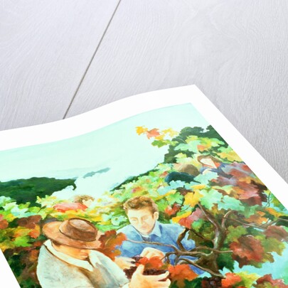 Grape Pickers, 1996 by Cristiana Angelini