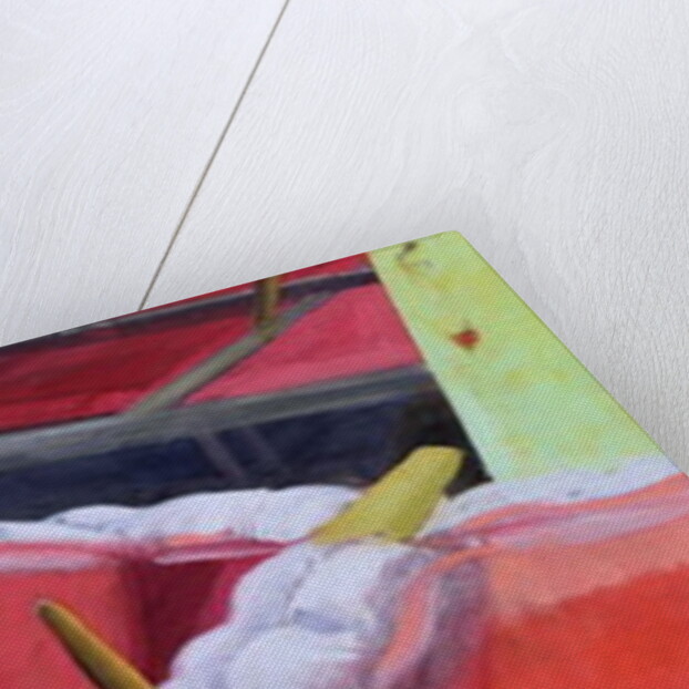 Making Madder, 2003 by Charlotte Moore